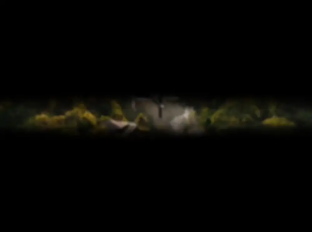 A glimpse of ÉLÉVÉ’s exclusive luxury lifestyle film